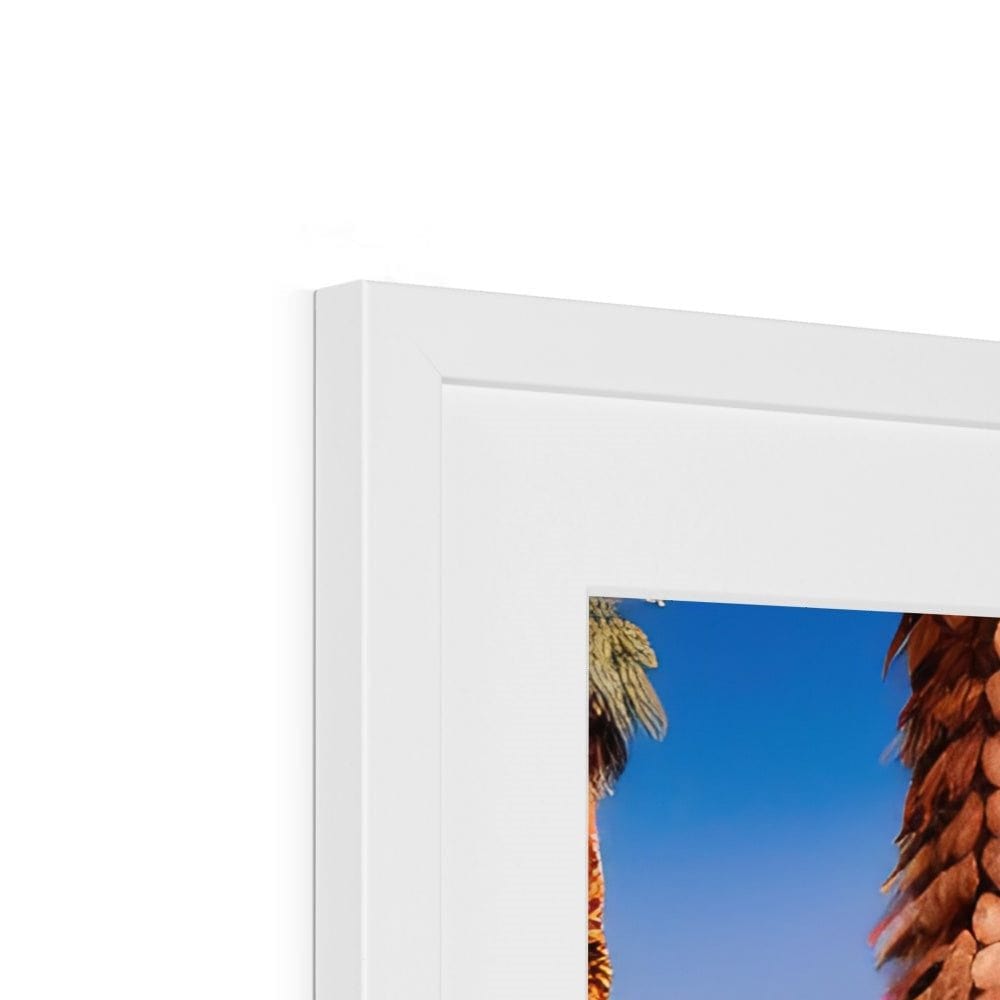 SeekandRamble Fine art Palm Springs Colour Ai Framed & Mounted Print