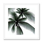 Seek & Ramble Framed 12"x12" / White Frame Palm Trees Framed & Mounted Print