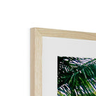 Seek & Ramble Framed Pink Palm Trees Framed & Mounted Print