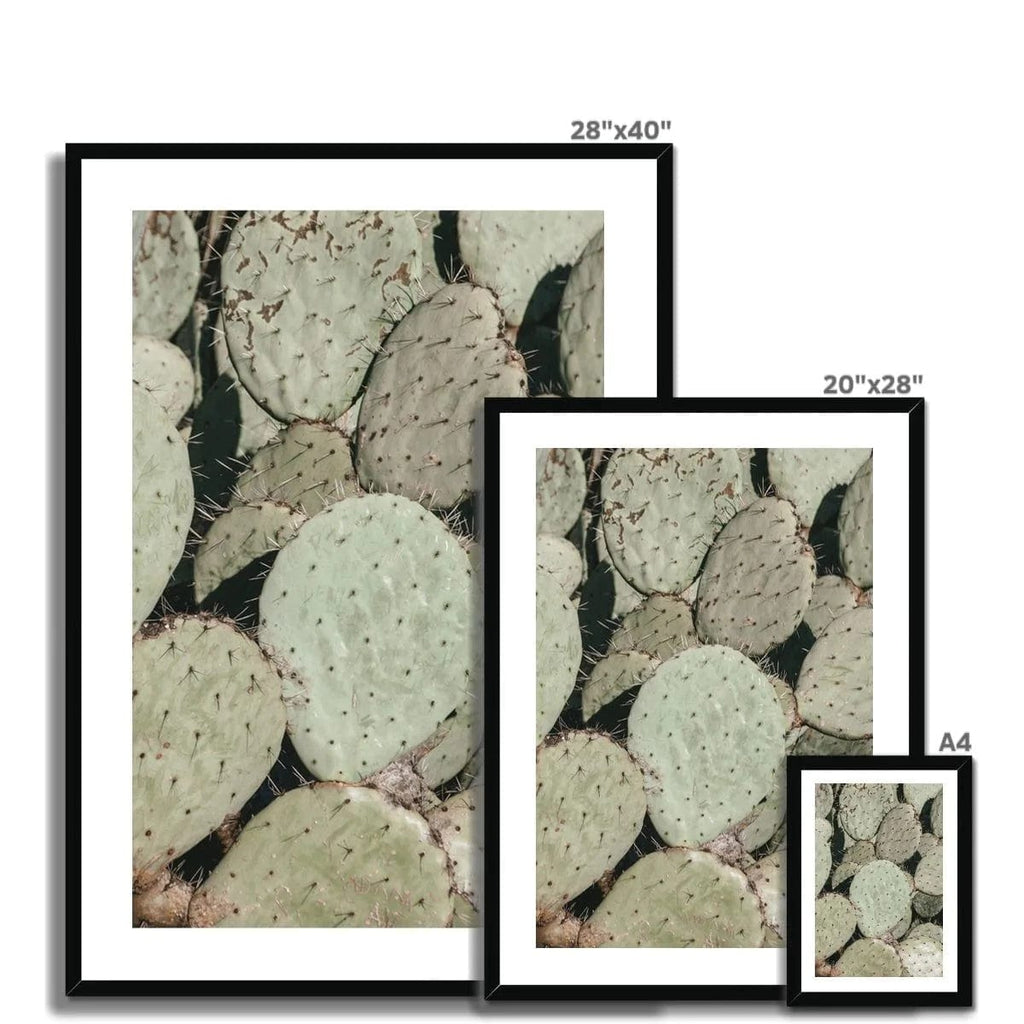 SeekandRamble Framed Prickly Pear Cactus Framed Print