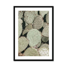 Seek & Ramble Framed Prickly Pear Cactus Framed Print