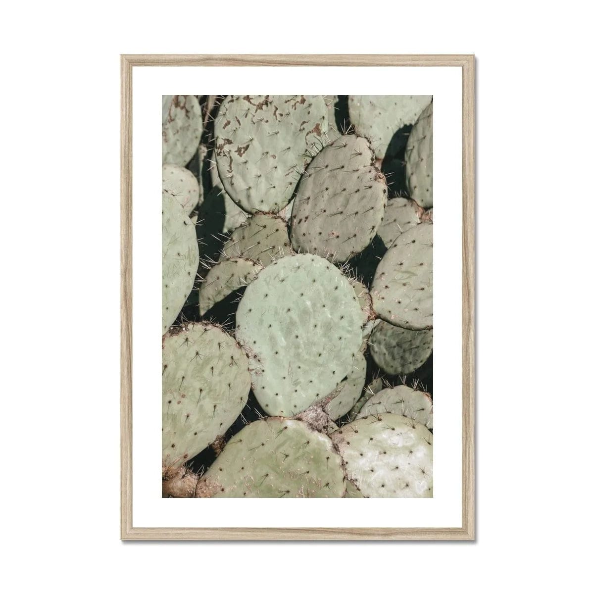 Seek & Ramble Framed Prickly Pear Cactus Framed Print