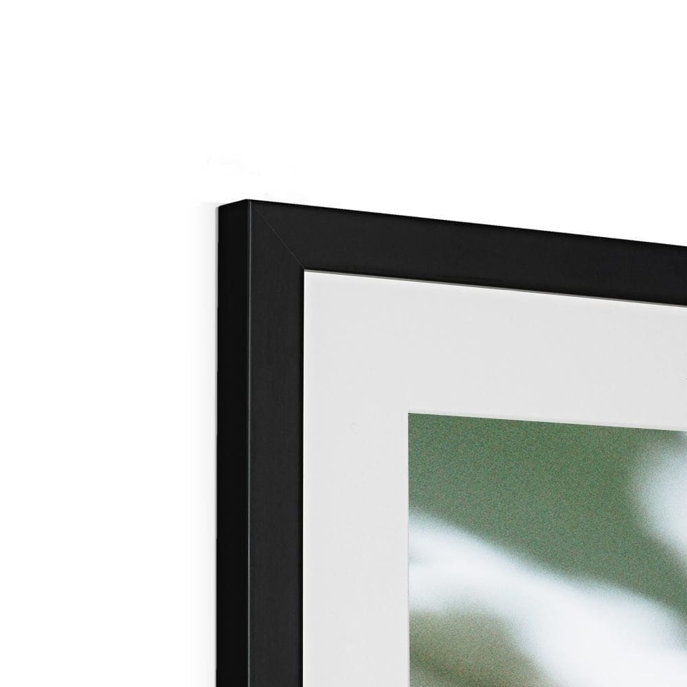 SeekandRamble Framed Ready To Bloom Framed & Mounted Print