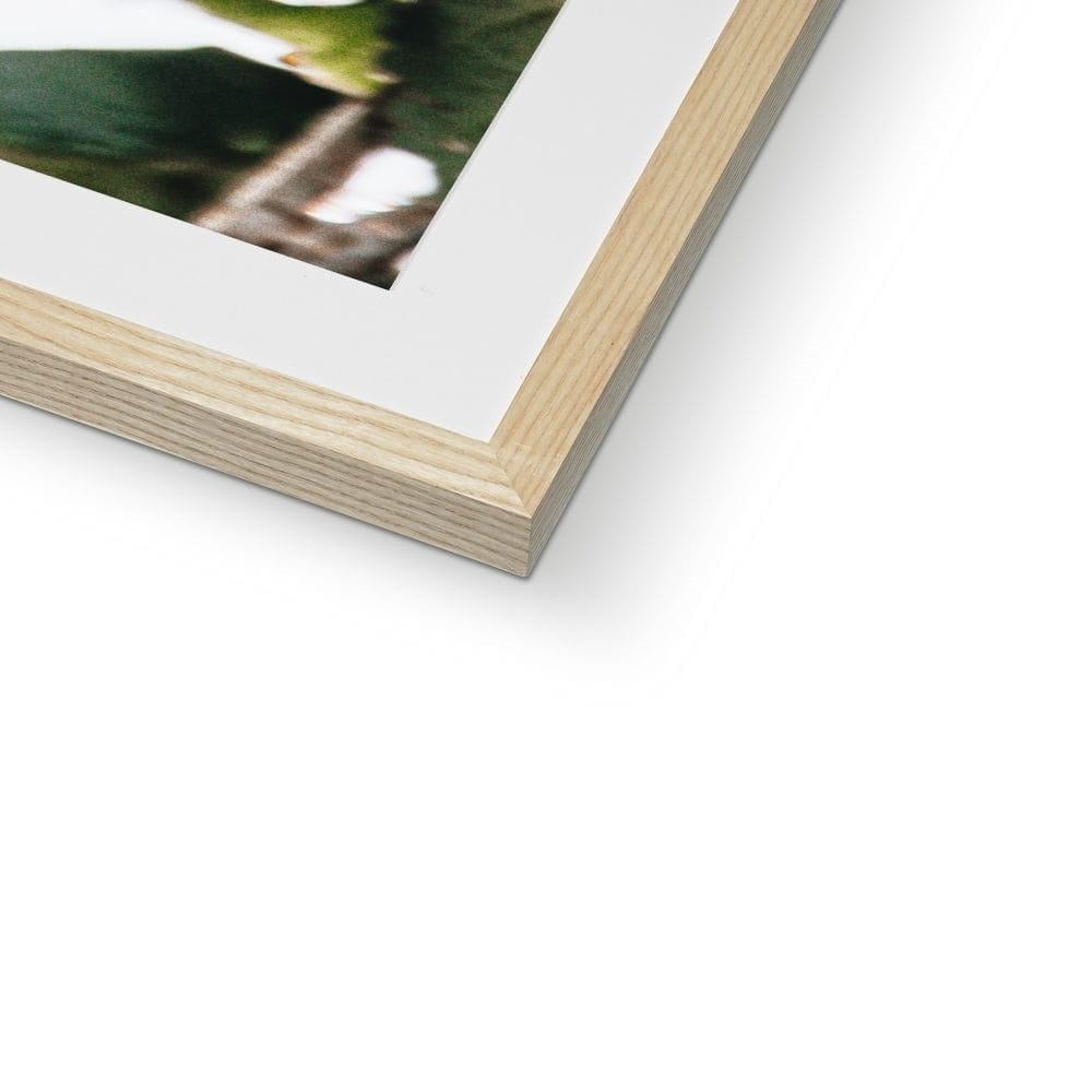 Seek & Ramble Framed Ready To Bloom Framed & Mounted Print