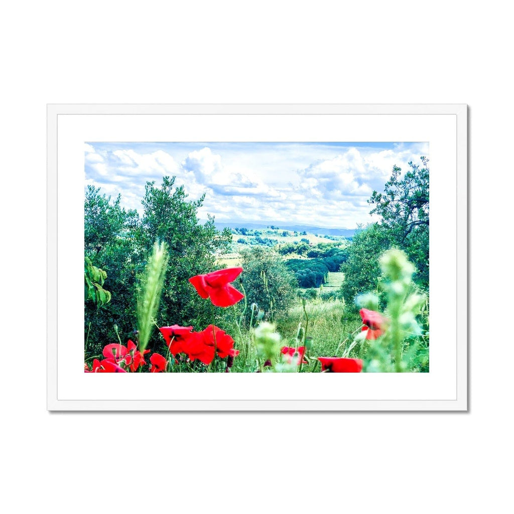 SeekandRamble Framed A4 Landscape (29x21cm) / White Frame Red Poppies Of Tuscany Landscape Framed & Mounted Print