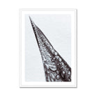 Seek & Ramble Framed A4 Portrait / White Frame Snake Plant Botanical Framed Print