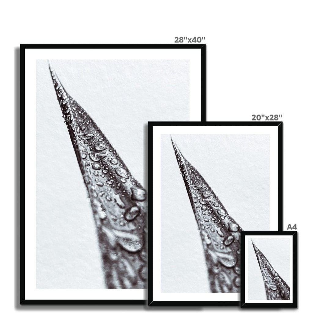 Seek & Ramble Framed Snake Plant Botanical Framed Print