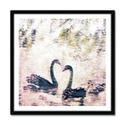 Adam Davies Framed 12"x12" (30.48x30.48cm) / Black Frame Swan Family Vintage Style Framed Print