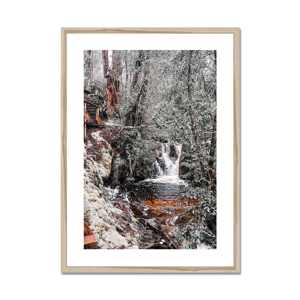 Adam Davies Framed 12"x16" (30.48x40.64cm) / Natural Frame Tasmania Cradle Mountain Tranquility Framed Print