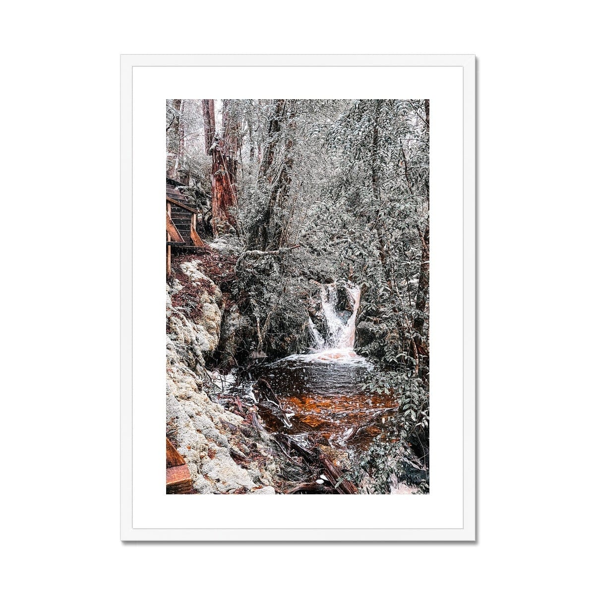 Adam Davies Framed 12"x16" (30.48x40.64cm) / White Frame Tasmania Cradle Mountain Tranquility Framed Print