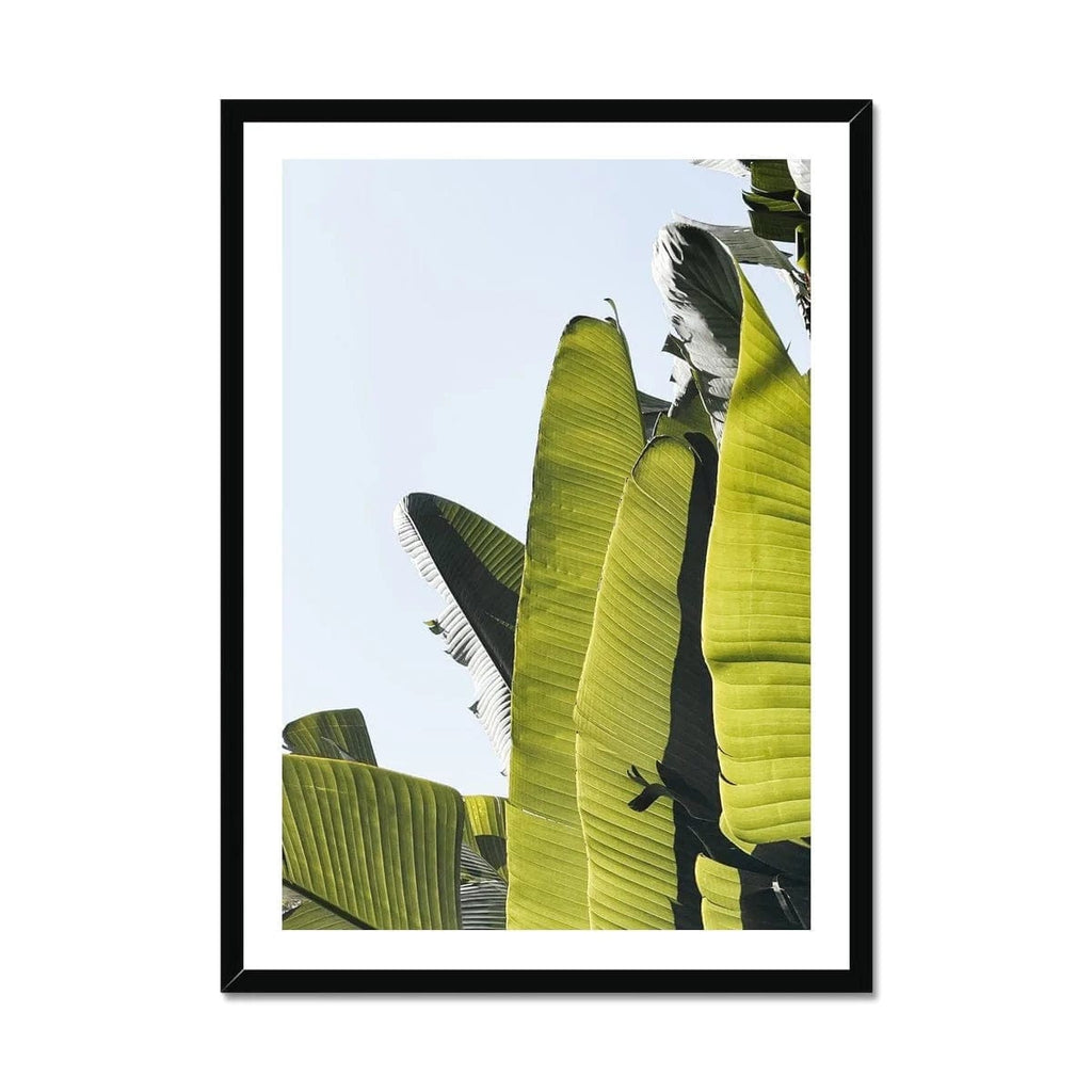 SeekandRamble Framed A4 Portrait / Black Frame Tropical Fan Palm Leaves Framed Print