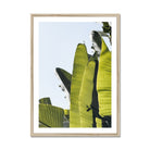 Adam Davies Framed A4 Portrait / Natural Frame Tropical Fan Palm Leaves Framed Print