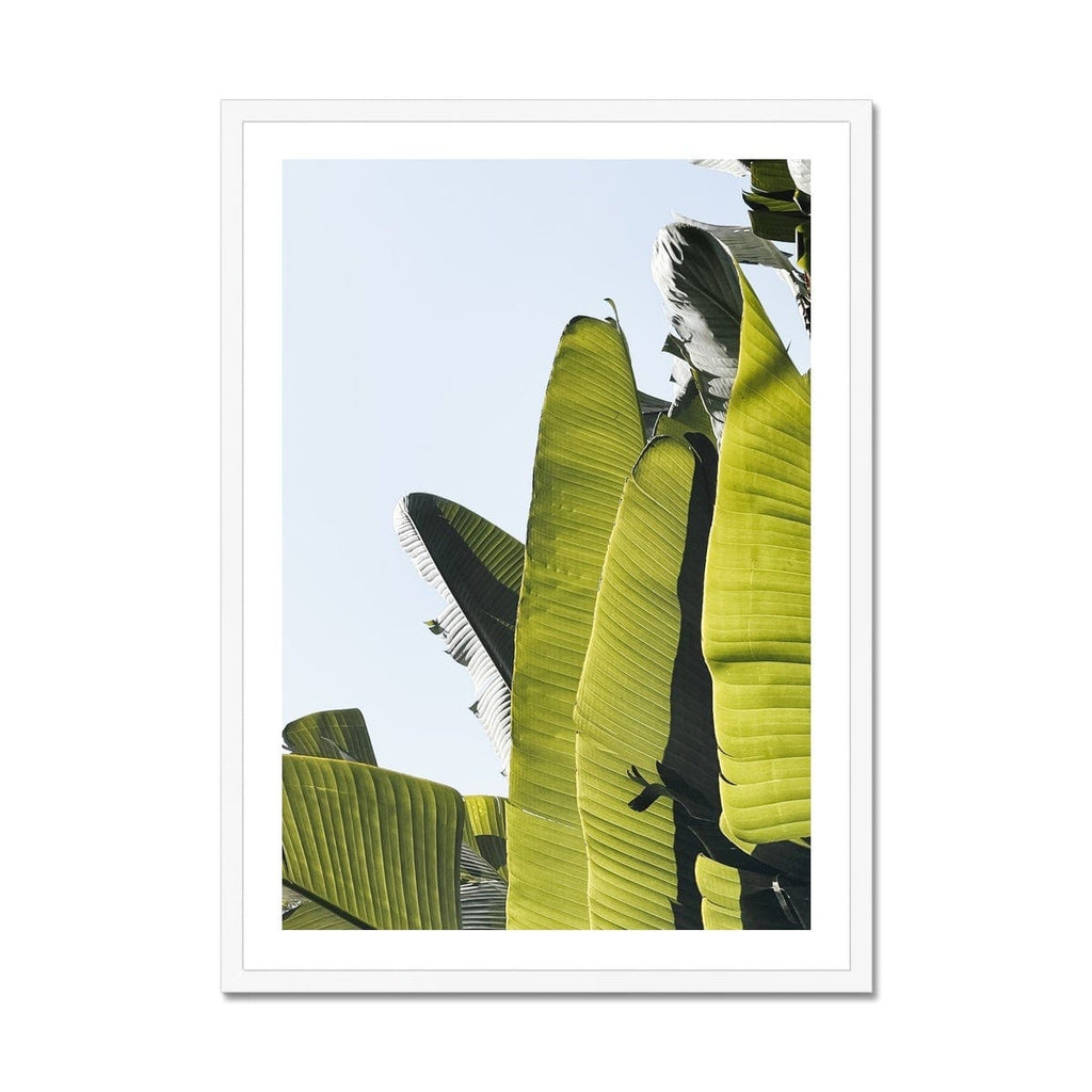 SeekandRamble Framed A4 Portrait / White Frame Tropical Fan Palm Leaves Framed Print