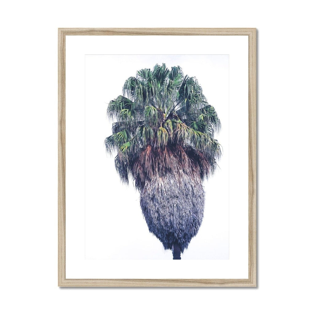 SeekandRamble Framed A4 Portrait (21x29.7cm) / Natural Frame Vaucluse Palm Tree Framed & Mounted Print
