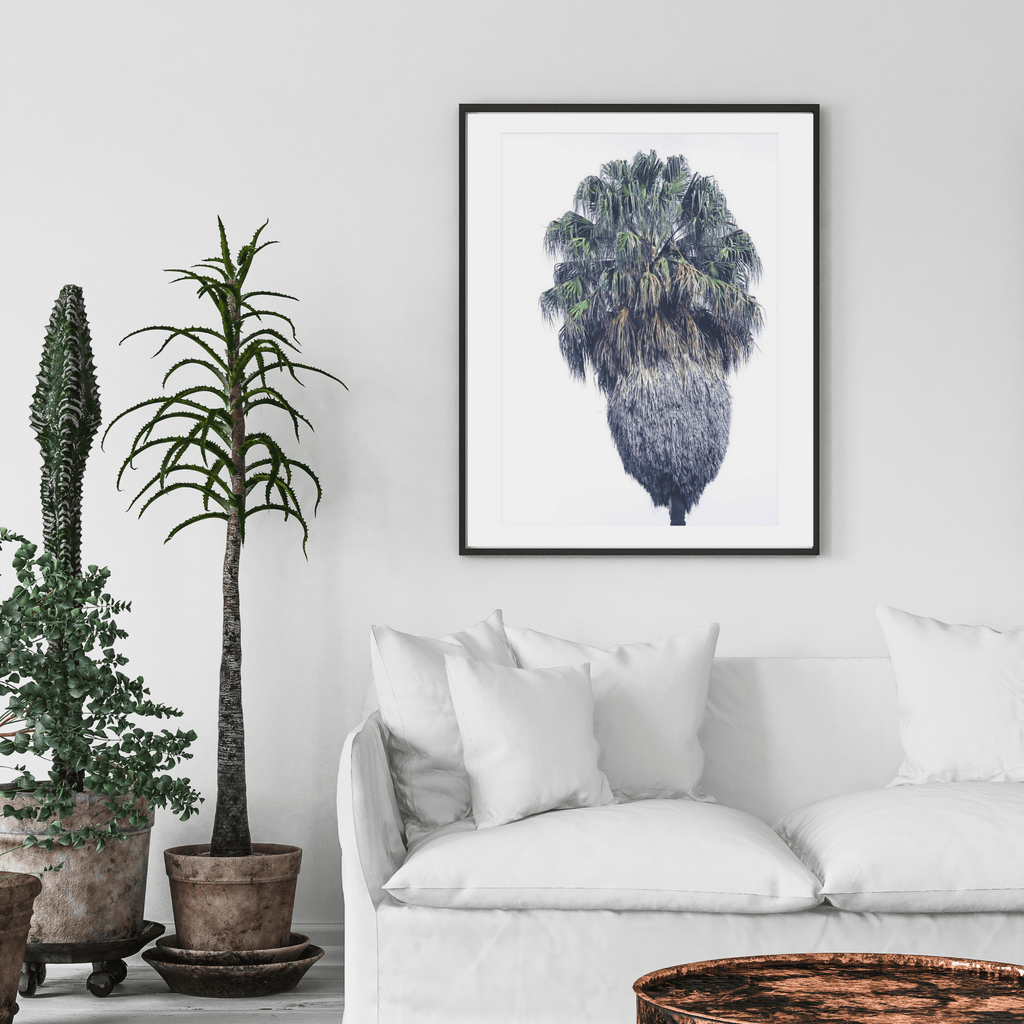 SeekandRamble Framed Vaucluse Palm Tree Framed & Mounted Print
