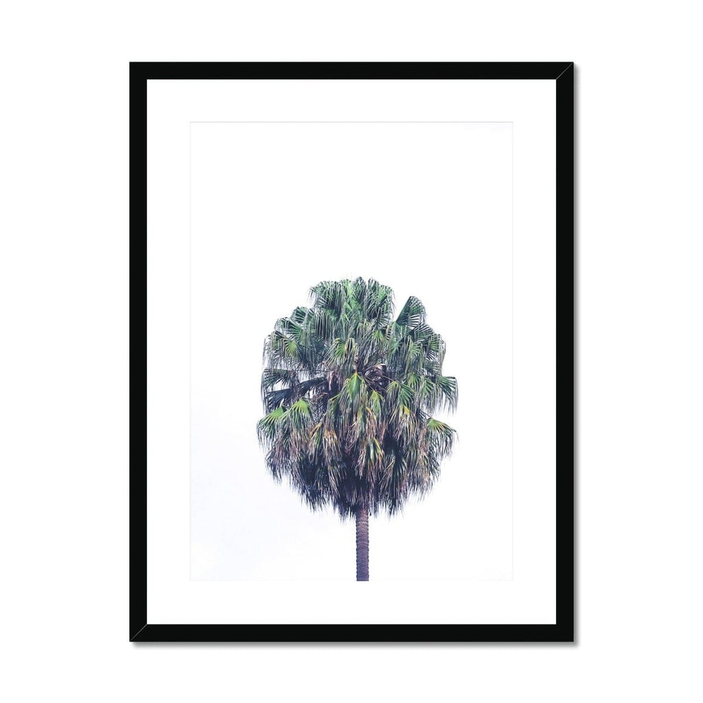 SeekandRamble Framed A4 Portrait (21x29.7cm) / Black Frame Vaucluse Palm Tree V2 Framed & Mounted Print