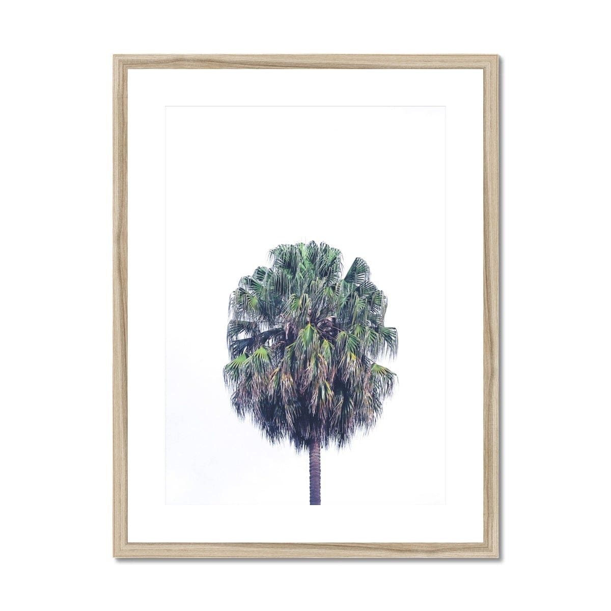 Adam Davies Framed A4 Portrait (21x29.7cm) / Natural Frame Vaucluse Palm Tree V2 Framed & Mounted Print