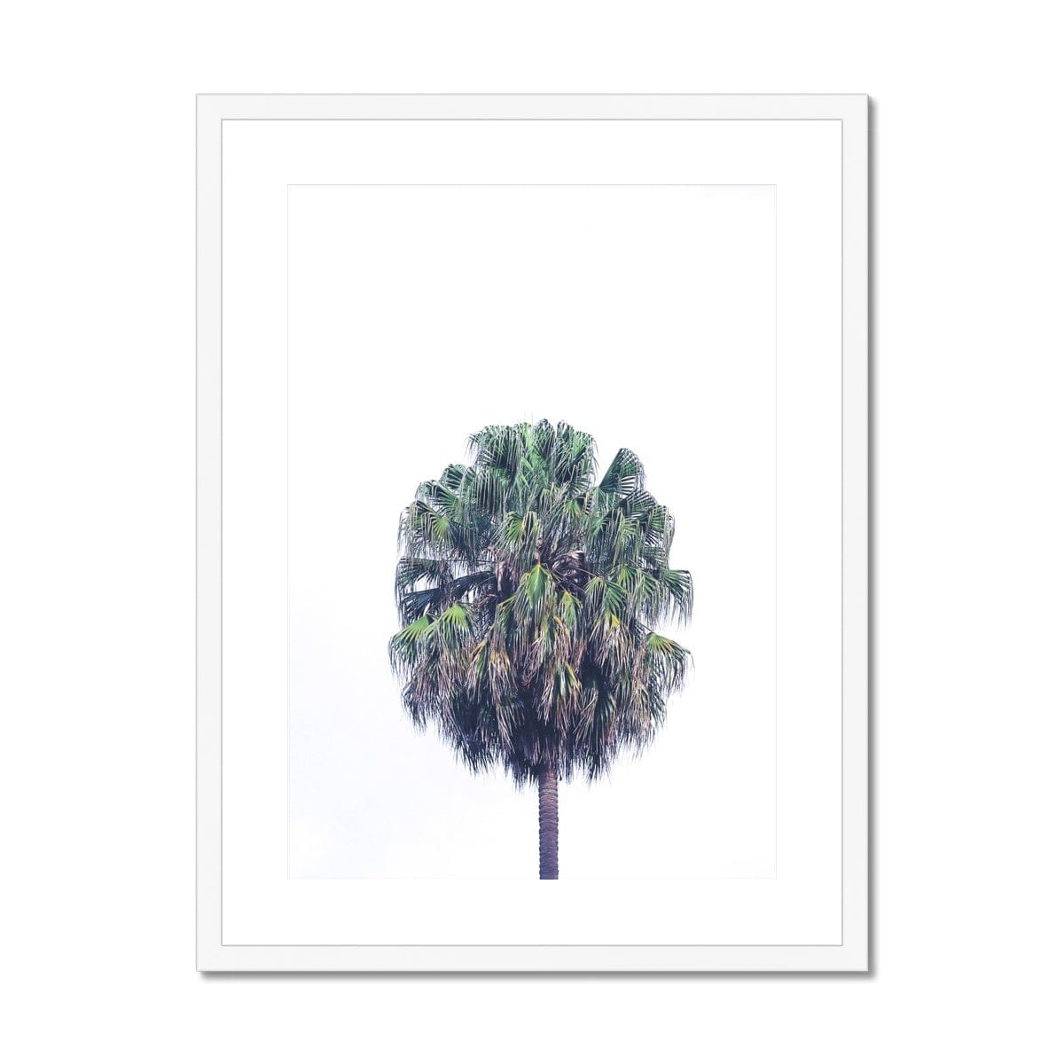 Adam Davies Framed A4 Portrait (21x29.7cm) / White Frame Vaucluse Palm Tree V2 Framed & Mounted Print