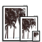 Seek & Ramble Framed Waikiki Palm Trees Framed & Mounted Print