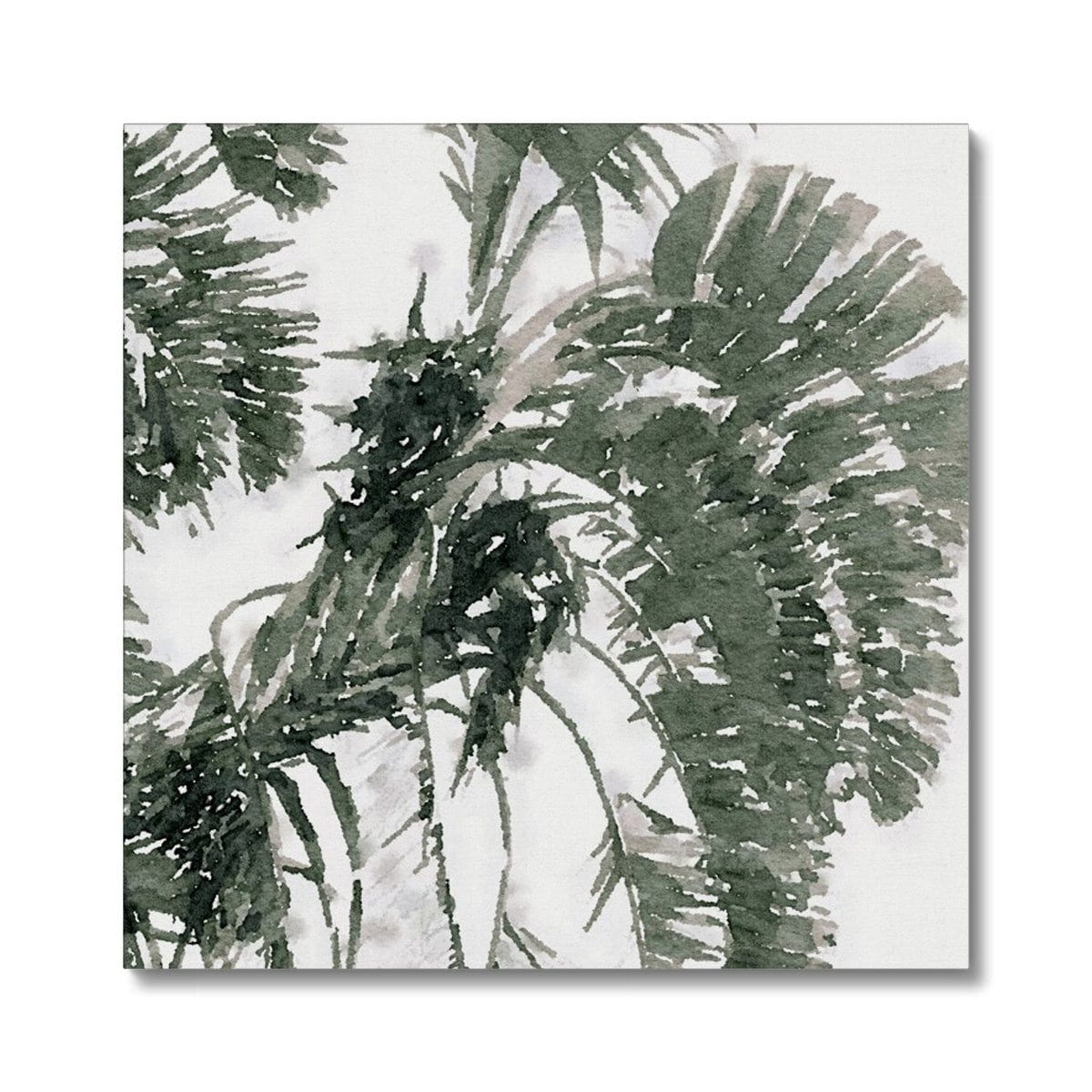 Prodigi Canvas 16"x16" / Image Wrap Watercolour Fan Palm #1 Canvas Canvas