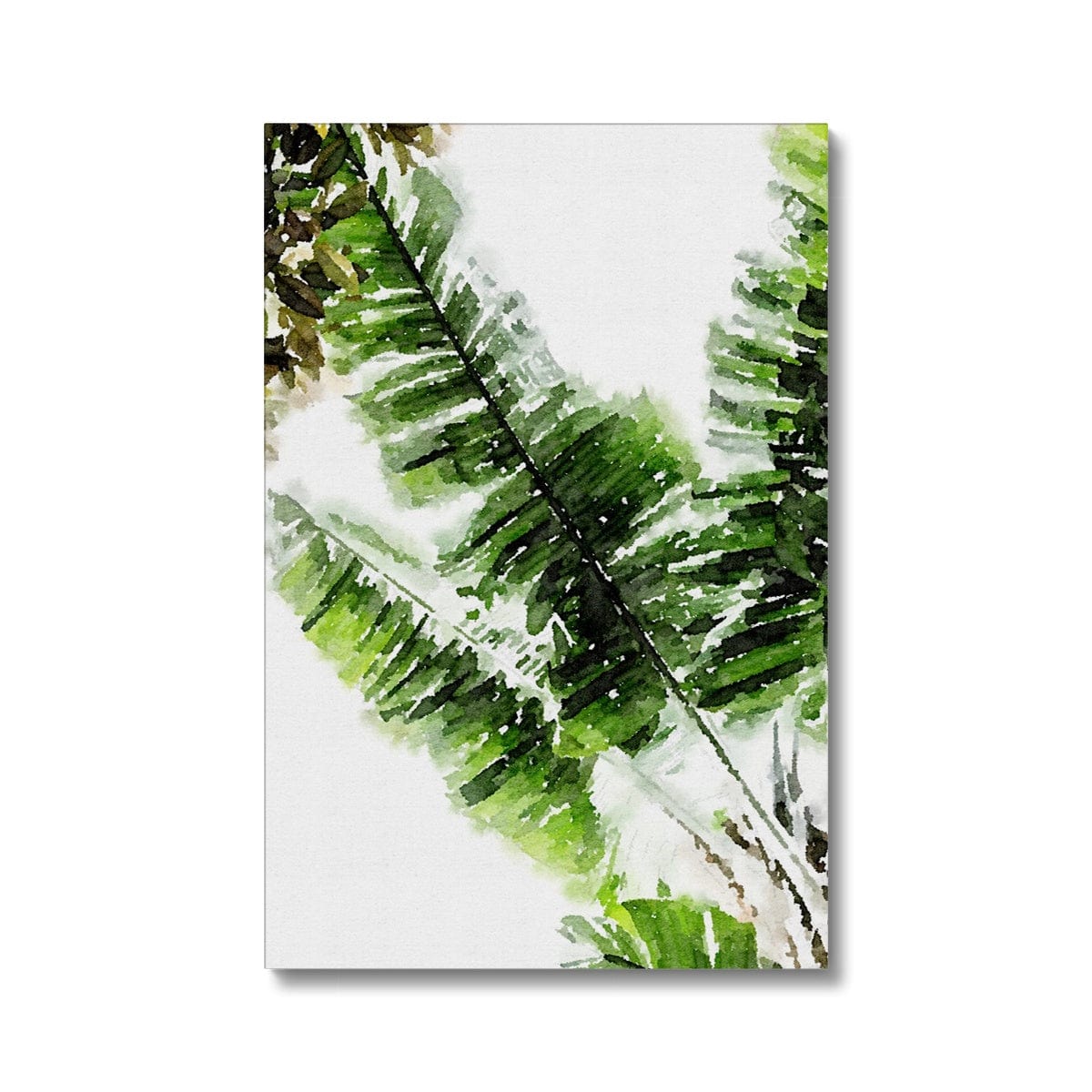 Seek & Ramble Canvas 8"x12" (20.32x30.48cm) / Image Wrap Watercolour Fan Palm Eco Canvas