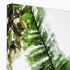 Seek & Ramble Canvas Watercolour Fan Palm Eco Canvas