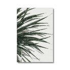 Seek & Ramble Canvas 8"x12" (20.32x30.48cm) / Image Wrap Watercolour Yucca Eco Canvas