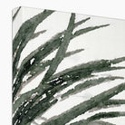 Seek & Ramble Canvas Watercolour Yucca Eco Canvas