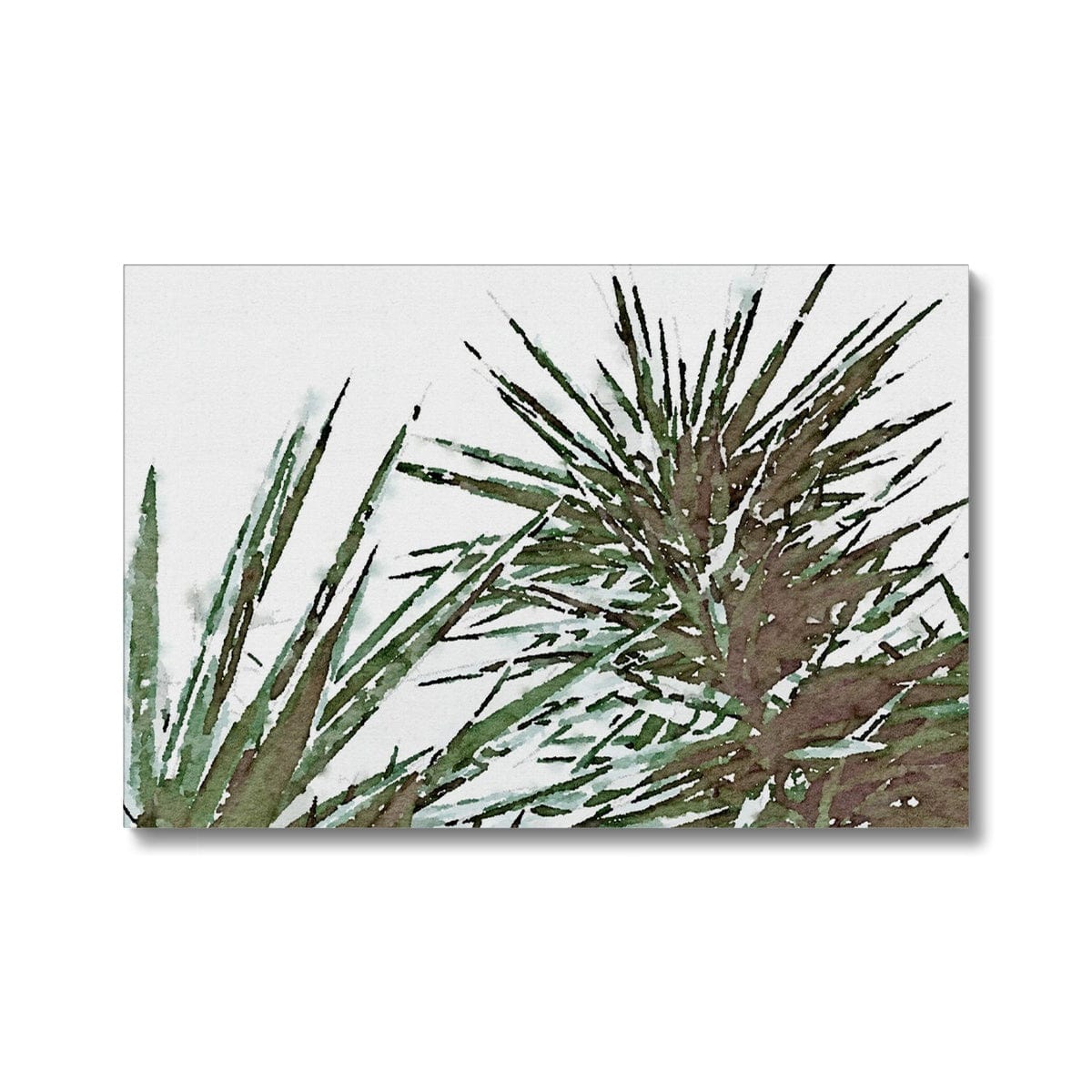 Seek & Ramble Canvas 12"x8" (30.48x20.32cm) / Image Wrap Yucca Eco Canvas